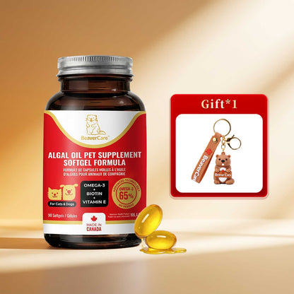 BeaverCare Starter Bundle — With The Cozy Builder Charm