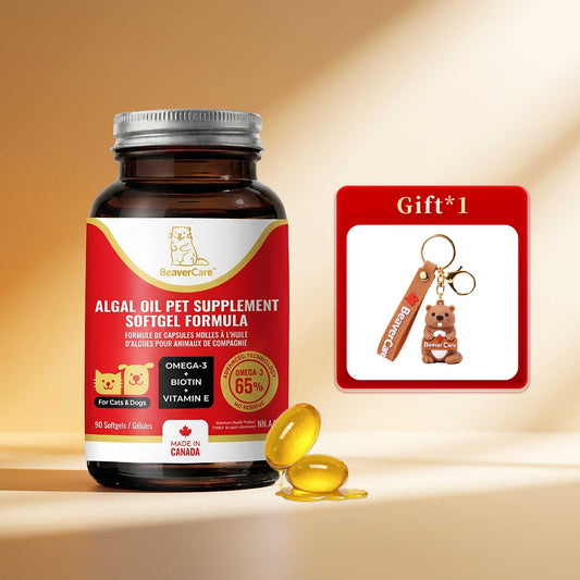 BeaverCare Starter Bundle — With The Cozy Builder Charm