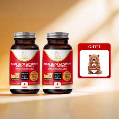 BeaverCare Value Bundle — With The Cozy Builder Fridge Magnet