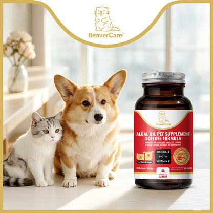 Premium Omega-3 Algal Oil Softgels