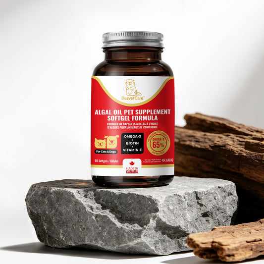 Premium Omega-3 Algal Oil Softgels